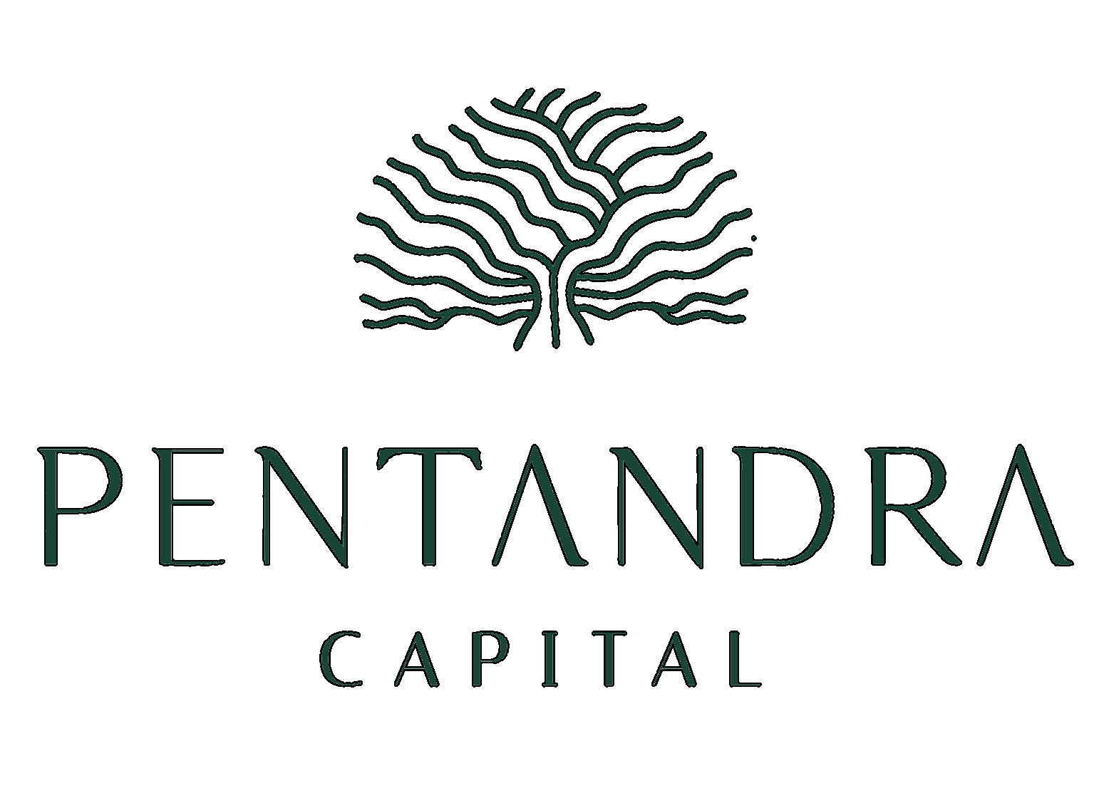 Logo Pentandra